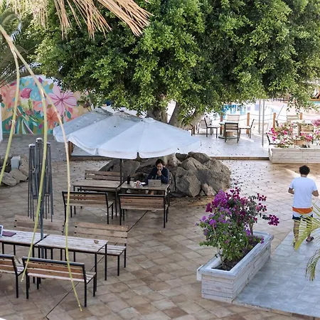 Hostel The Tree House Tenerife El Médano