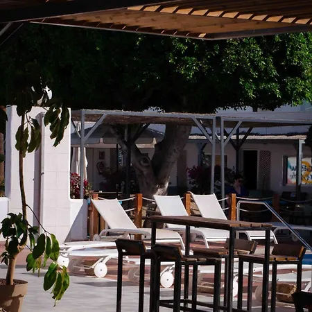 The Tree House Tenerife Hostel El Medano (Tenerife)