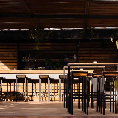 Hostel The Tree House Tenerife *