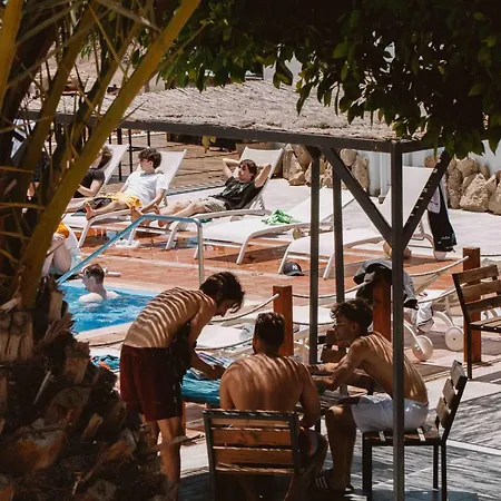 Hostel The Tree House Tenerife