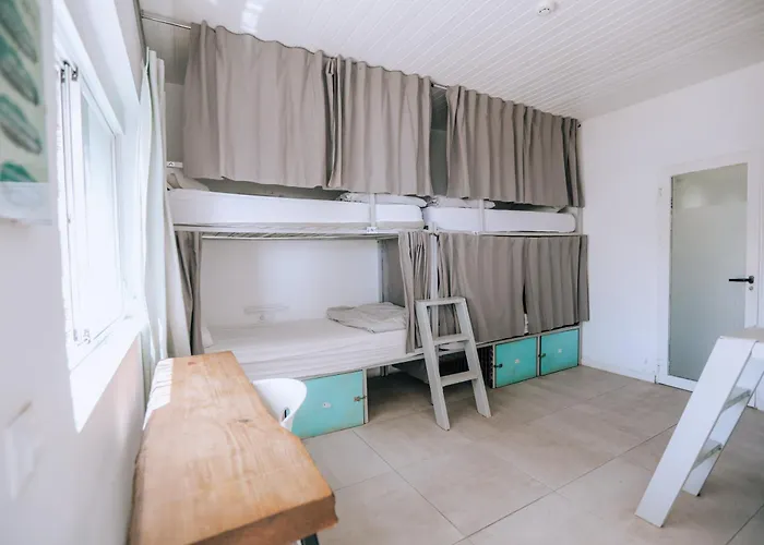 The Tree House Tenerife Hostel El Médano