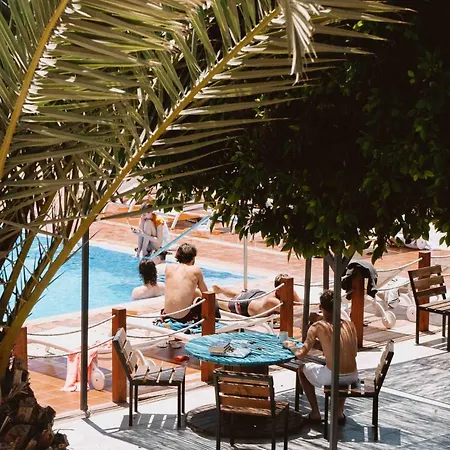 The Tree House Tenerife Auberge de jeunesse El Médano