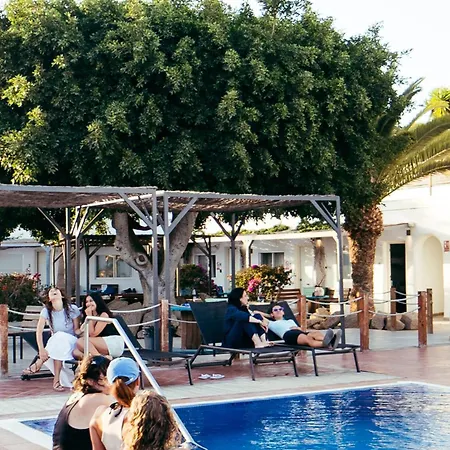 Hostel The Tree House Tenerife