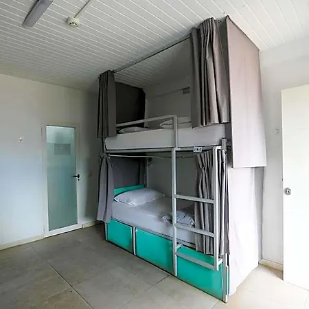 Hostel The Tree House Tenerife *