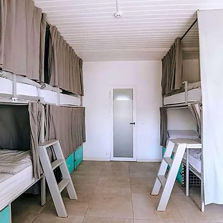 The Tree House Tenerife Hostel *