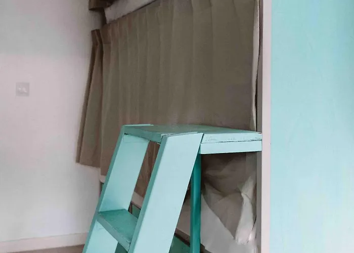 The Tree House Tenerife Hostel