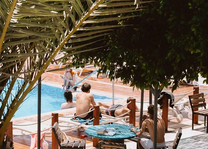 The Tree House Tenerife Auberge de jeunesse El Médano